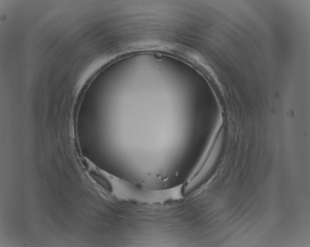 X0000073421328200608251540