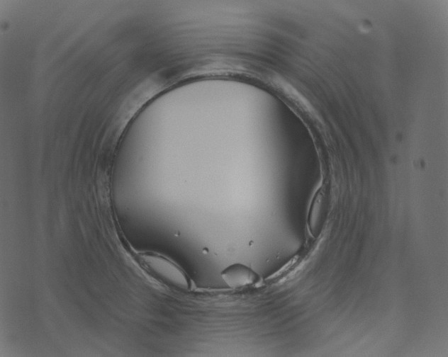 X0000073421329200608251540