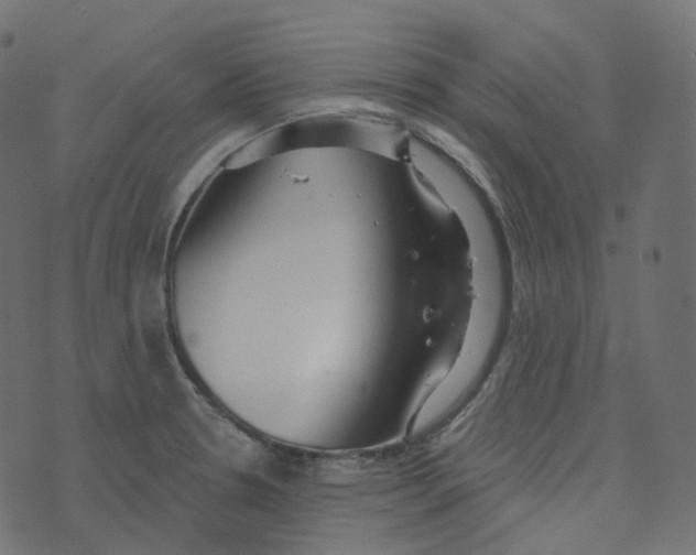 X0000073421330200608251540