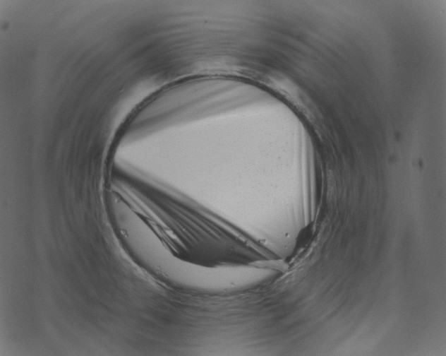 X0000073421331200608251540