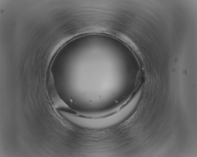 X0000073421332200608251540