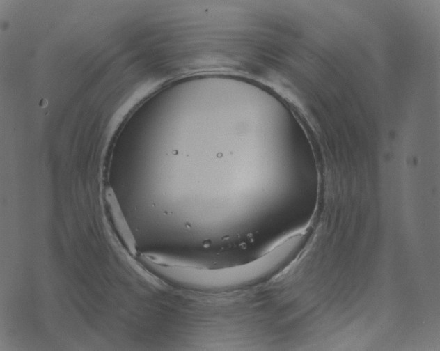 X0000073421333200608251540