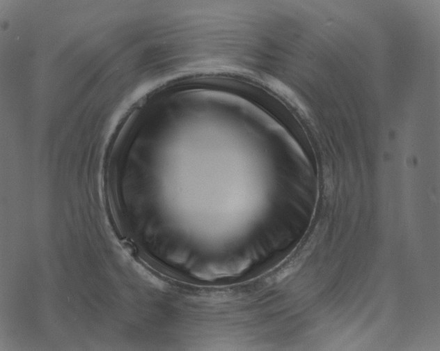 X0000073421334200608251540