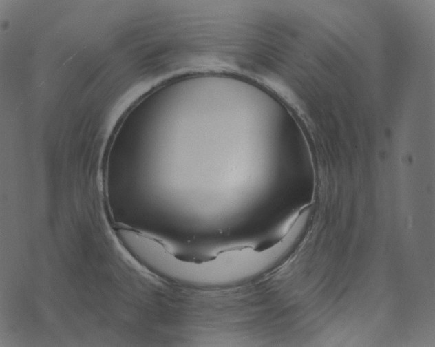 X0000073421335200608251540