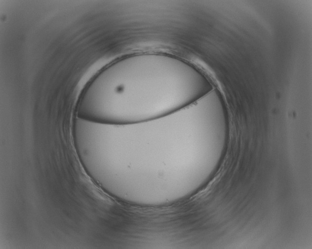 X0000073421336200608251540