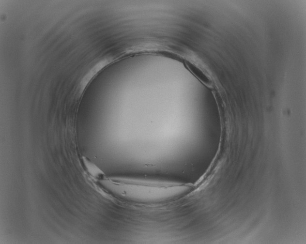 X0000073421337200608251540