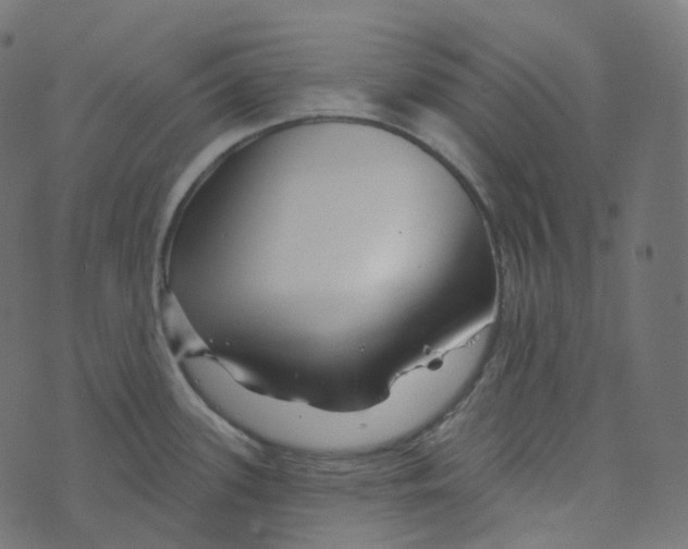 X0000073421339200608251540