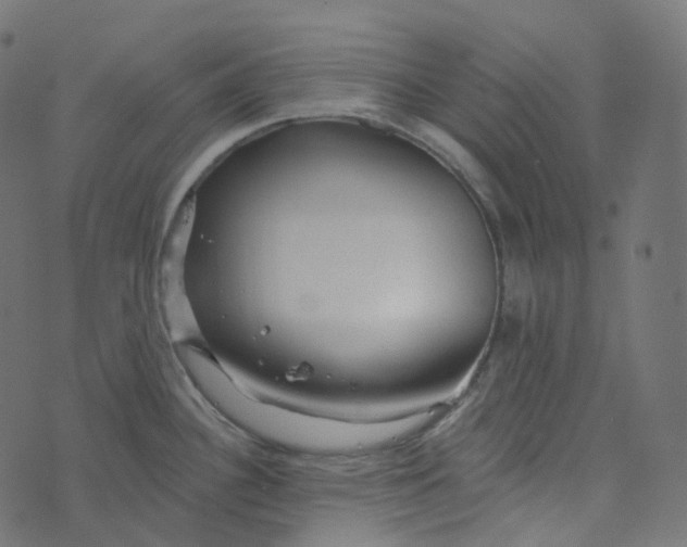 X0000073421340200608251540