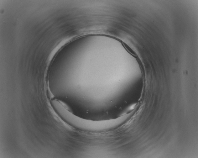 X0000073421341200608251540