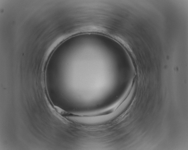 X0000073421342200608251540