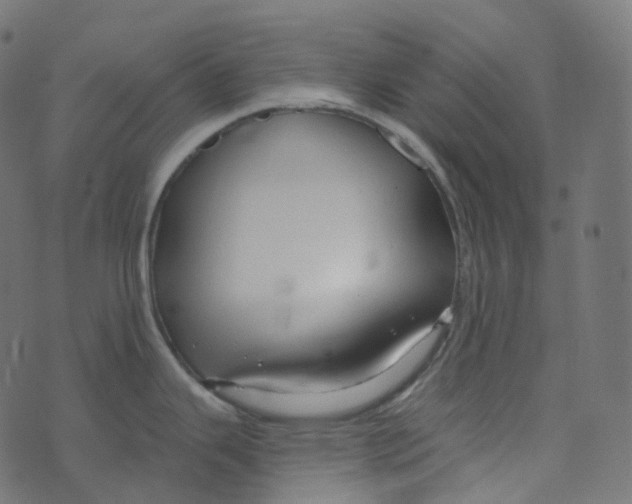 X0000073421343200608251540