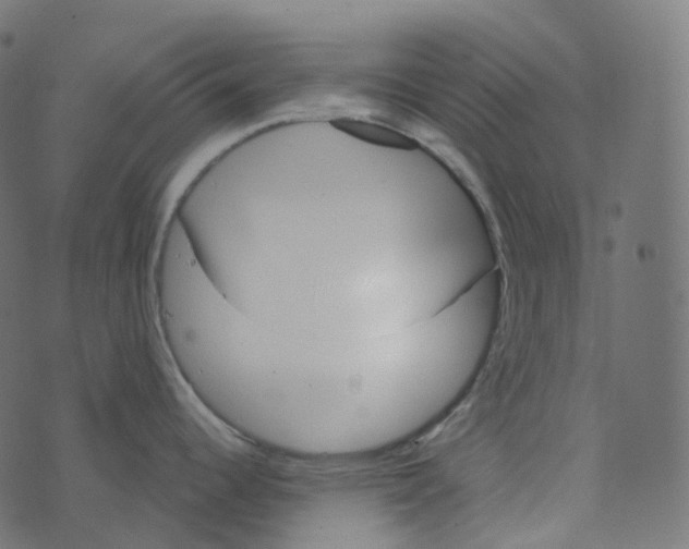 X0000073421344200608251540