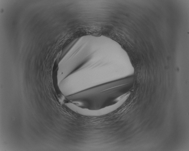 X0000073421345200608251540