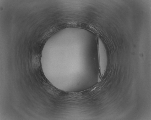 X0000073421347200608251540