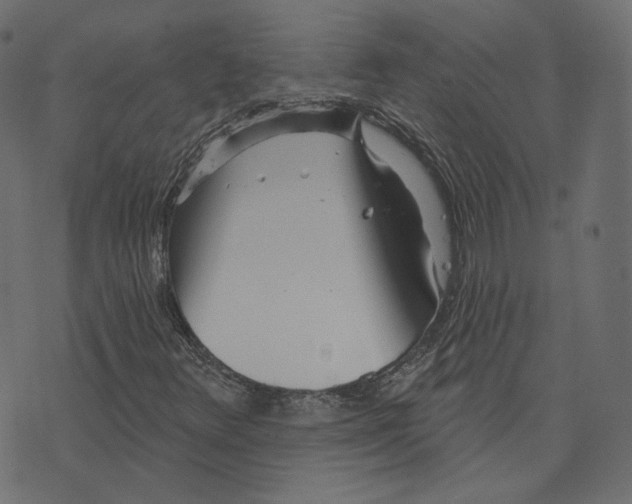 X0000073421348200608251540