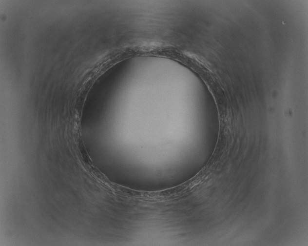 X0000073421349200608251540