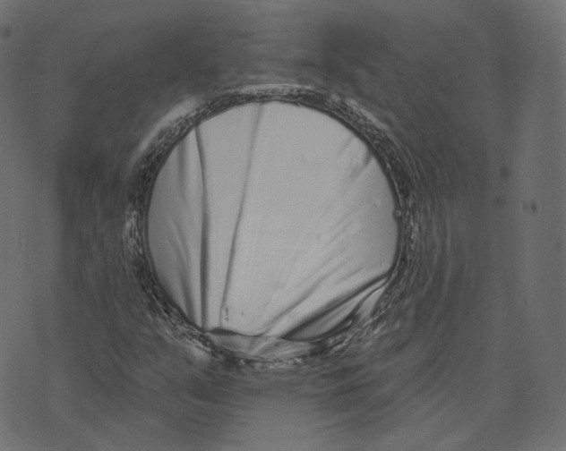 X0000073421351200608251540