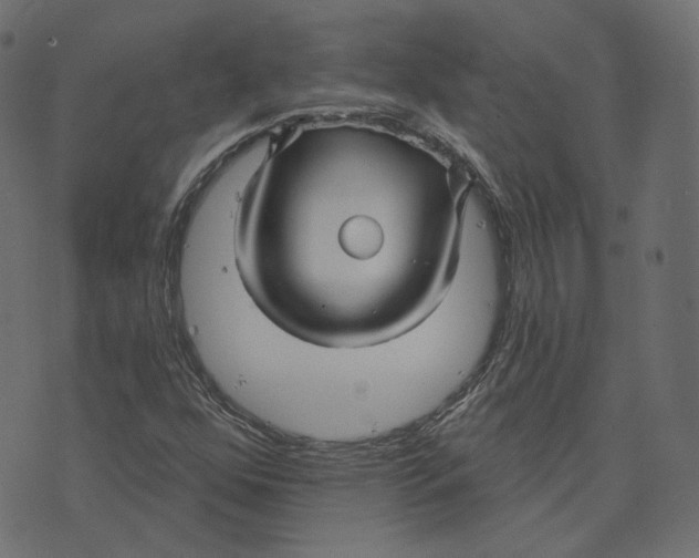 X0000073421352200608251540