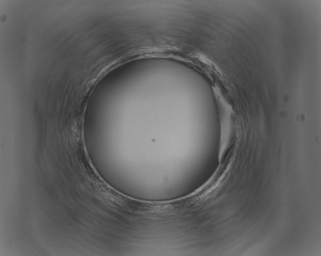 X0000073421353200608251540