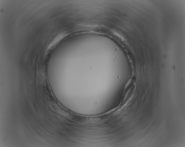 X0000073421354200608251539