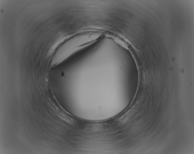 X0000073421355200608251539