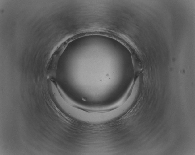 X0000073421356200608251539