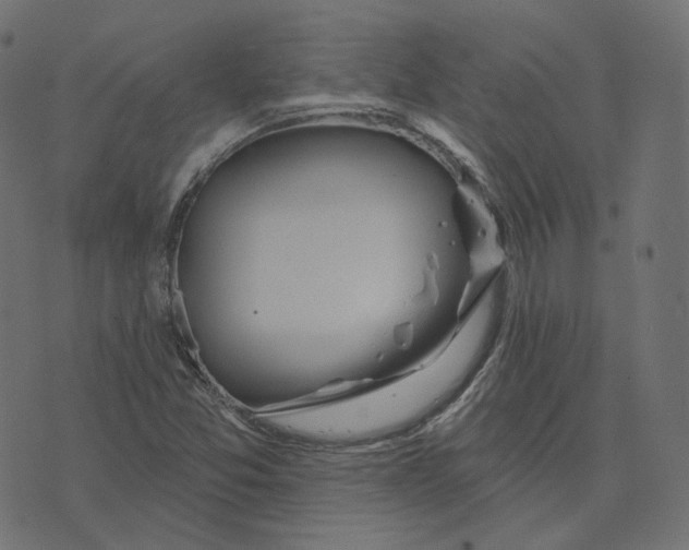 X0000073421357200608251539