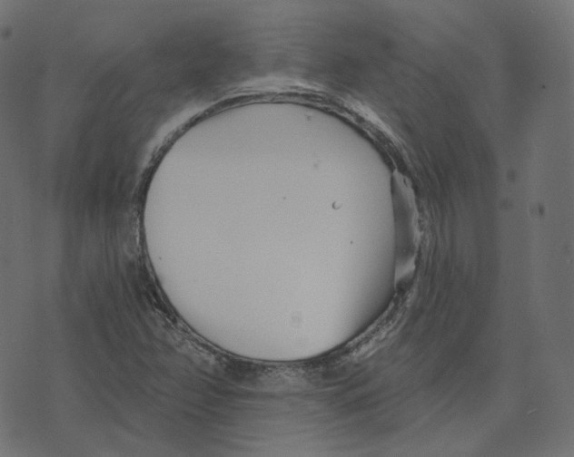 X0000073421358200608251539