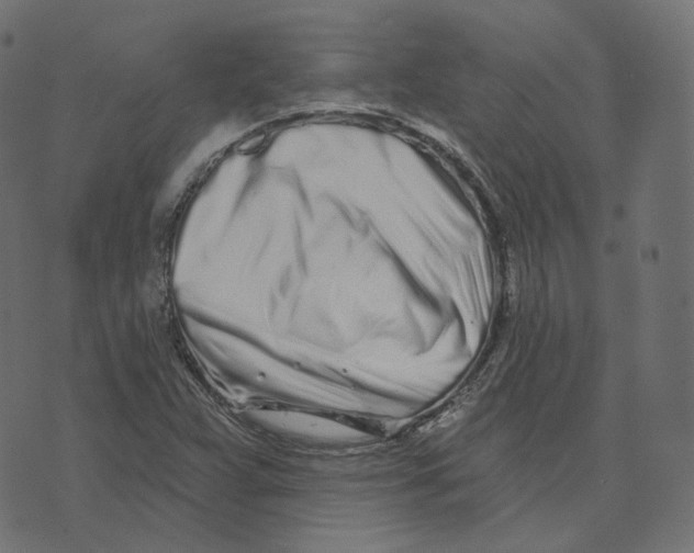 X0000073421359200608251539