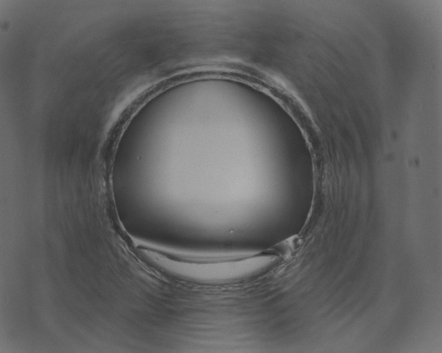 X0000073421360200608251539