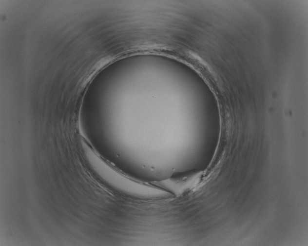 X0000073421361200608251539