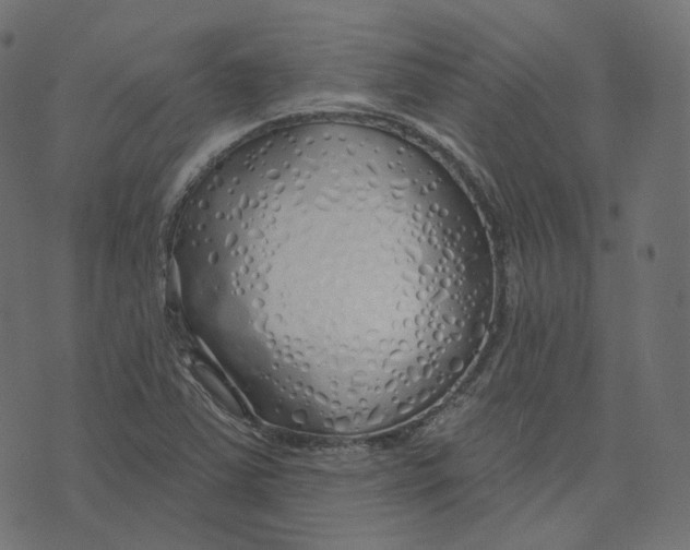 X0000073421363200608251539