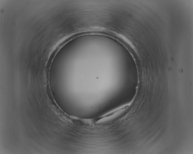 X0000073421364200608251539