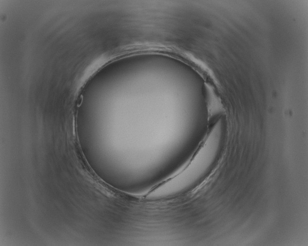 X0000073421365200608251539