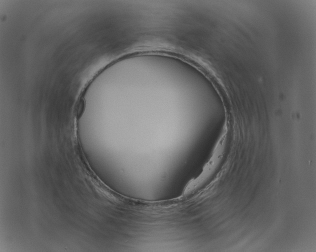 X0000073421366200608251539