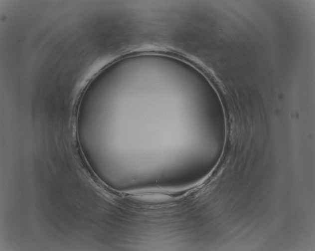 X0000073421367200608251539