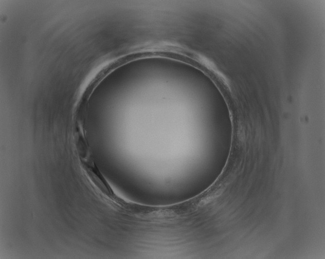 X0000073421368200608251539