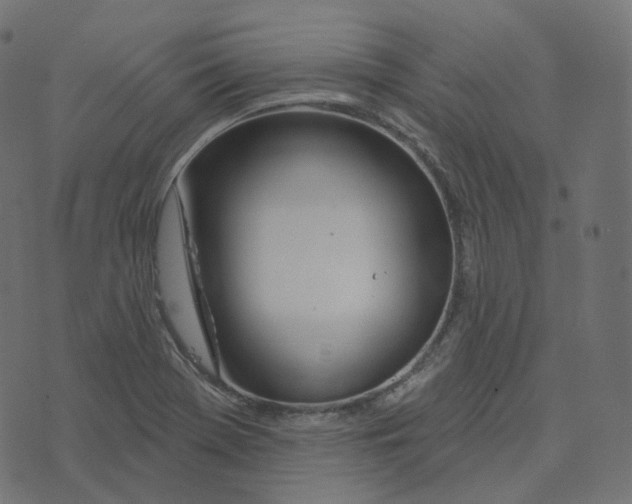 X0000073421369200608251539