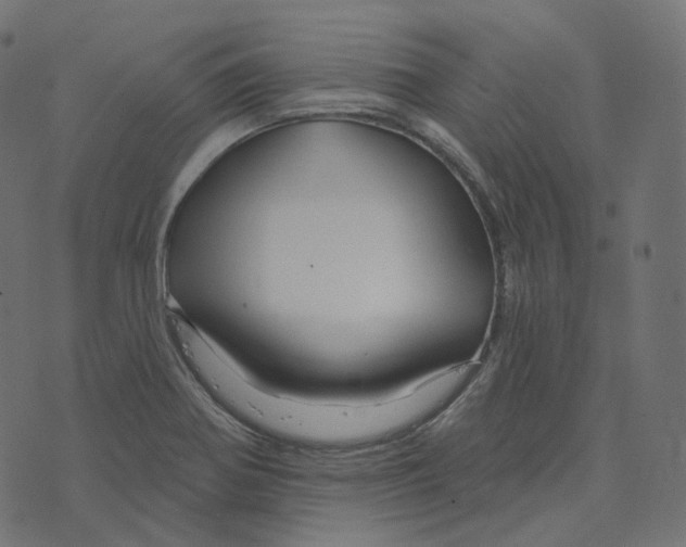 X0000073421370200608251539