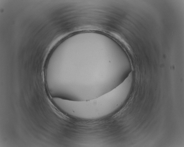 X0000073421372200608251539