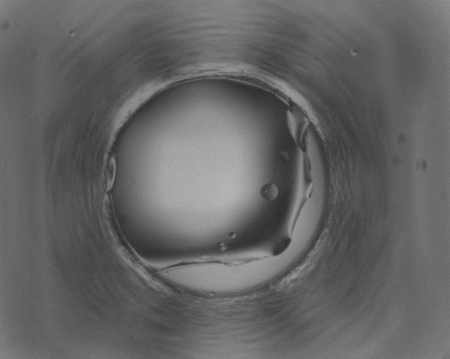 X0000073421373200608251539