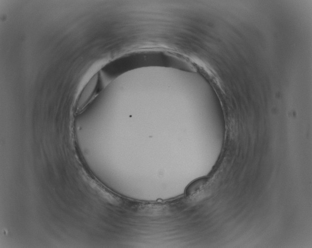 X0000073421374200608251539