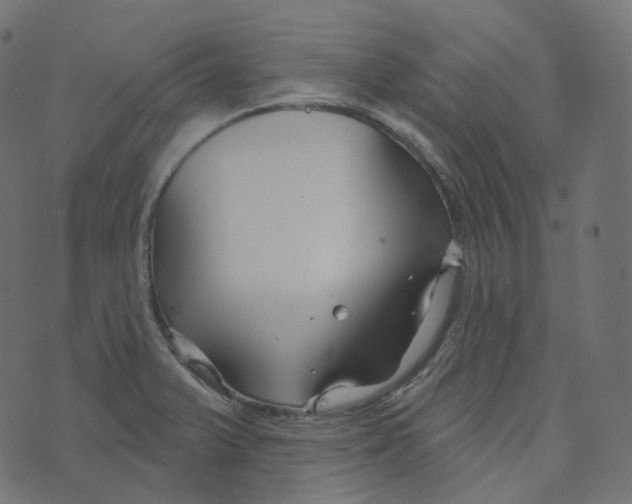 X0000073421375200608251539