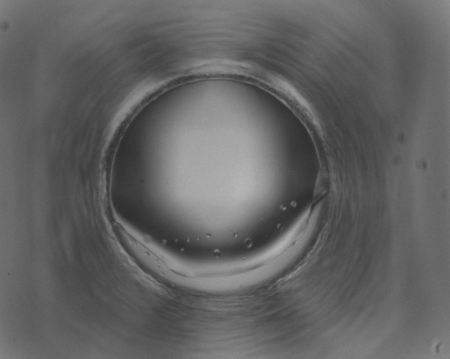 X0000073421376200608251539