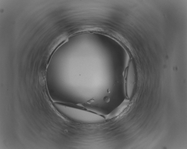 X0000073421377200608251539