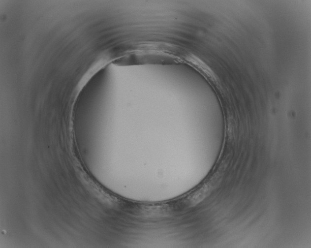 X0000073421378200608251539