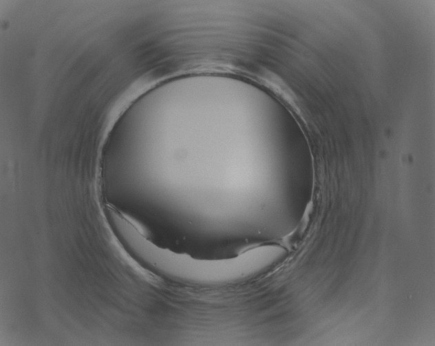 X0000073421379200608251539