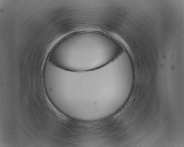 X0000073421380200608251539