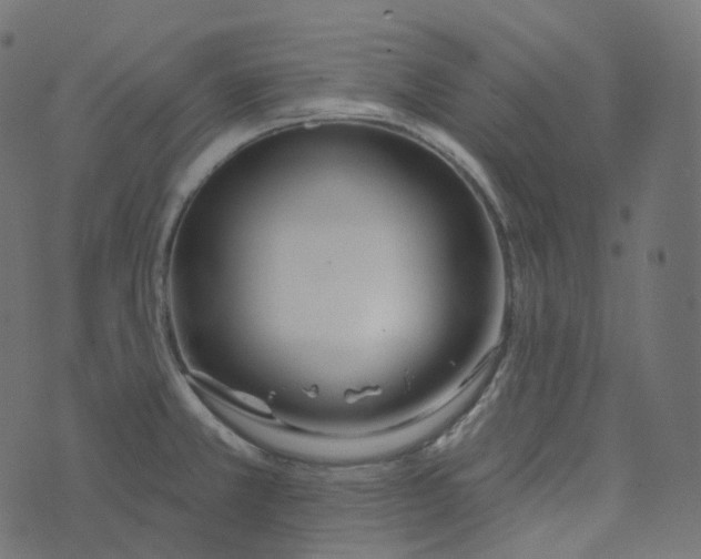 X0000073421381200608251539