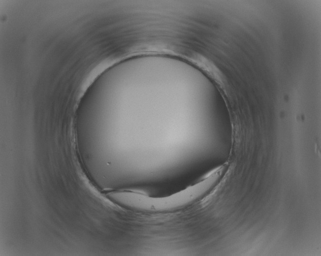 X0000073421382200608251539